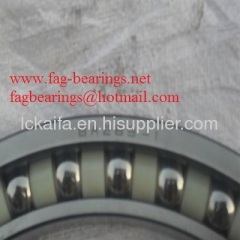 NSK EXCAVATOR BEARINGS BA289-1