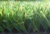 Synthetic soccer grass , Evergreen artificial grass , indoor outdoor grass carpet