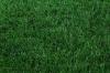 Custom evergreen Artificial Grass Lawn for Vertical greening , garden