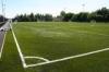 Landscaping Sports Nature Artificial Grass , rust colored , 45mm