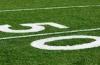Monofilament Artificial Sports Turf for sports field / garden / playground