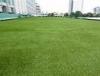 3 / 8inch forever green artificial grass roof for Landscaping , playground