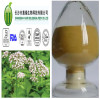 Valerian Root P. E