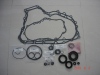 auto repair seal kit