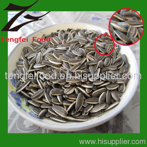 24/68 Sunflower Seeds 5009 Long Shape