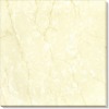 SOLUBLE SALT MXN6120 polished tile