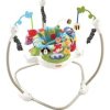 Fisher Price Discover 'N Grow Baby Jumperoo Bouncer