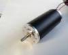 12 Volt brushed dc motor 3100rpm 3750rpm with high torque 2 pole