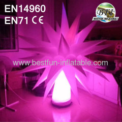 Decoration For Club Led Light