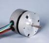 57mm dc Electric brushless motor BLDC with 3 Phase 36 Volt JK57BLS