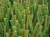 PE Tencate Thiolon Stem Yarn Futsal Artificial Grass 5/8&quot; Gauge