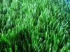 15000dtex 40mm S Shape Yarn Futsal Artificial Grass 2 Layer Backing