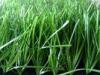 40mm Apple Green Futsal Artificial Grass Turf Diamond Shape 12000dtex