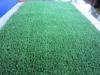 Field Green Home Artificial Grass 2800dtex 10mm Height 3/16 Gauge