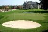 10mm PE Fibrillated Yarn Golf Artificial Grass With 5/32 inch Gauge