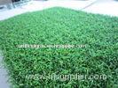 Nylon Fake Cricket Pitch Grass , Outdoor Artificial Grass Lawns