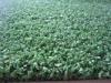 Diamond Shape Yarn Hockey Artificial Grass Landscape With 5/32 Gauge