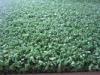 Plastic Green Hockey Artificial Grass 15mm Height 8800dtex