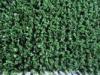 6600dtex 9mm Tennis Artificial Grass , Sports Outdoor Synthetic Lawn