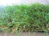 40mm Landscaping Balcony Artificial Grass Turf With 3/8''Gauge