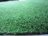 Natural Artificial Grass Around Swimming Pools 71400 Tufts/m
