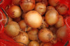 sell chinese fresh yellow onions