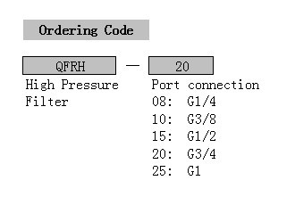 High temperature and high pressure filter regulator