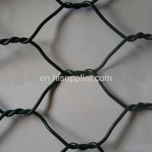 Anping Hexagonal wire mesh