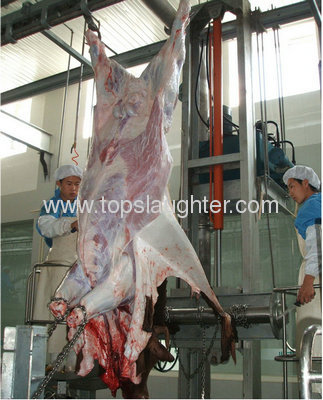 Cattle slaughtering machine cattle peeling machine