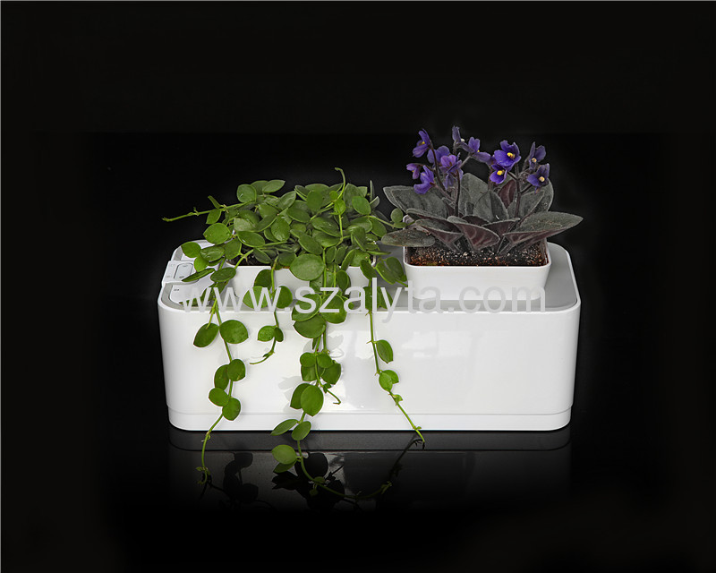 Smart Mini Garden Desktop gardening products Clean, Green, Fashion, Convenient