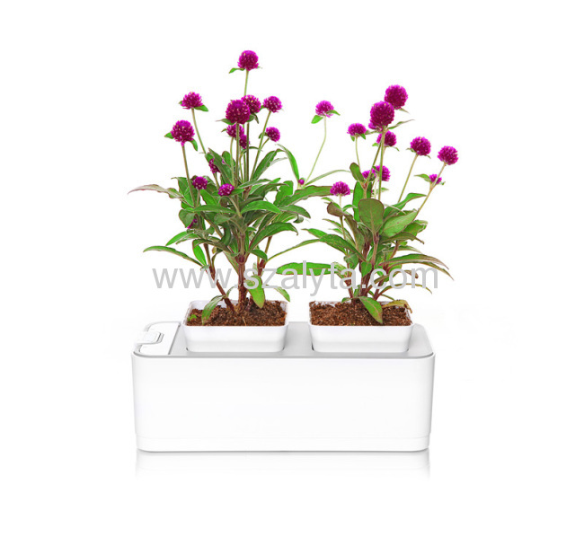 Smart Mini Garden Desktop gardening products Clean, Green, Fashion, Convenient