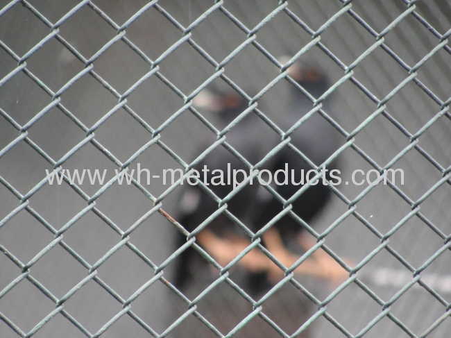 chain link Security fencing