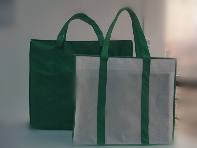 Fashionable non woven shopping bag N1025