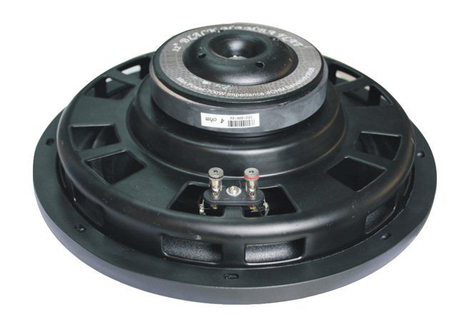 12Silm Injection Cone Subwoofer