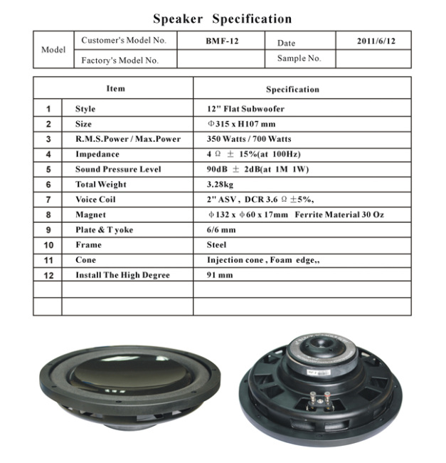 12Silm Injection Cone Subwoofer