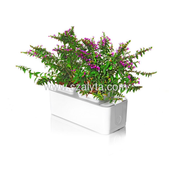 2013 new technology products smart mini garden