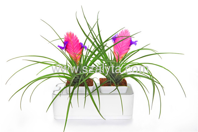 2013 new technology products smart mini garden