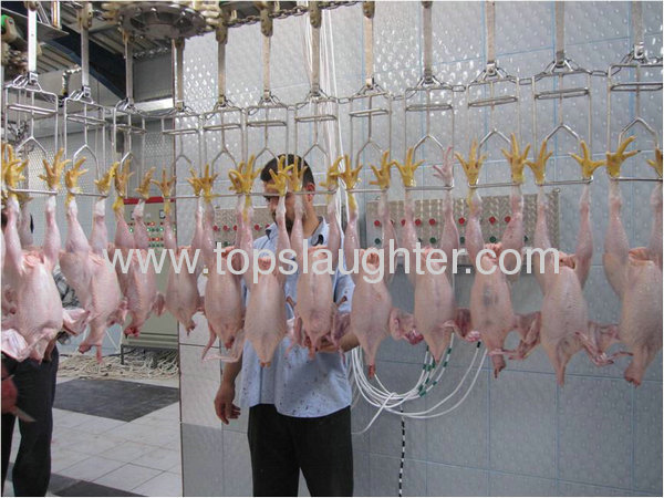 Chicken slaughtering processing line