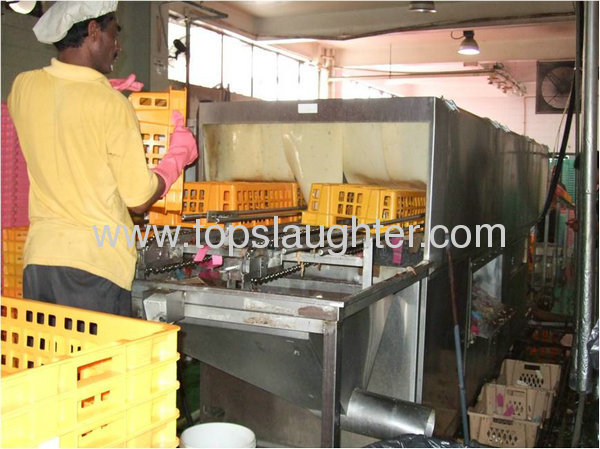 Chicken slaughtering processing line