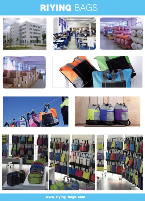 Polyester can cooler bag with cheap price RY4092