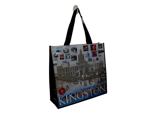PP laminated non woven bag with handled LB1007
