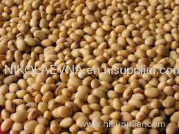 SOYBEANS FOR ANIMAL FEED