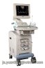 4D Color Ultrasound Scanner