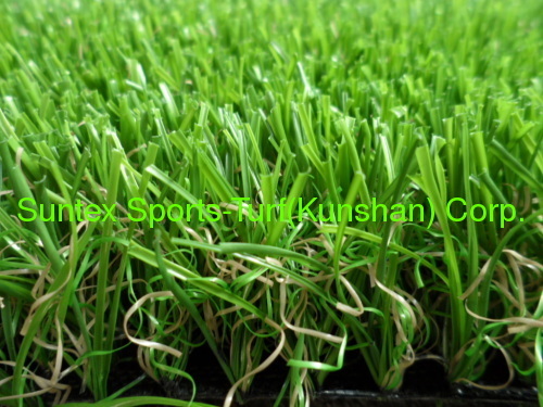reliable Chinese Ornamental grass manufacturer