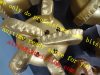 Diamond core PDC drill bit