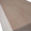 Poplar Core Natural Wood Veneered Plywood