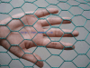 Anping Hexagonal wire mesh