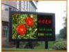 P12 outdoor led display