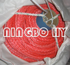 12 Strand Red UHMWPE Winch Rope