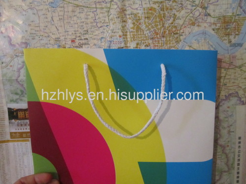 logo printed paper bags